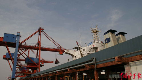 招商港口华南散杂货营运中心揭牌成立，专业化保洁服务助力高效运营