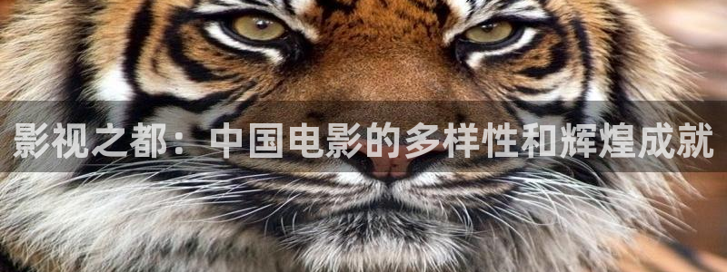 国产麻豆电影在线：影视之都：中国电影的多样性和辉煌成就
