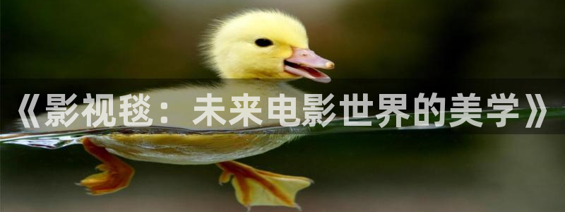 麻豆影视aⅴ：《影视毯：未来电影世界的美学》