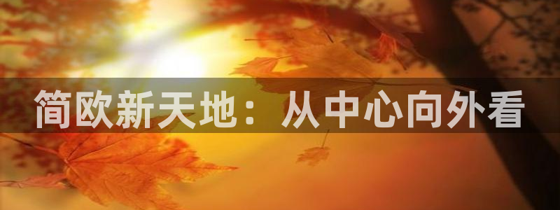 麻豆电：简欧新天地：从中心向外看