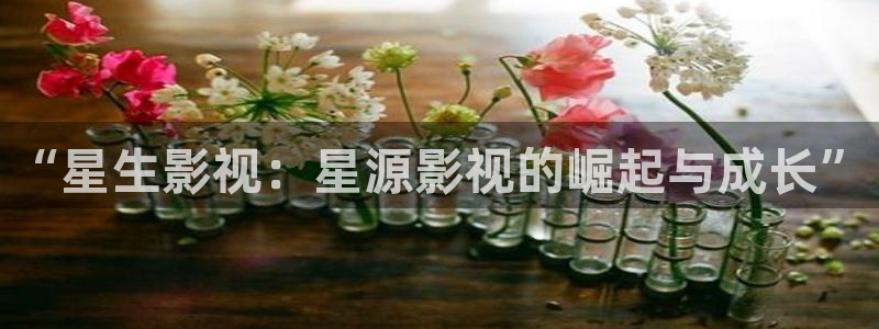 麻豆电影免费在线看：“星生影视：星源影视的崛起与成长”