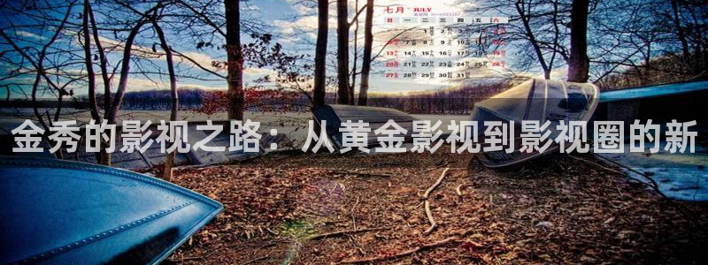 在线看国产麻豆影视：金秀的影视之路：从黄金影视到影视圈的新