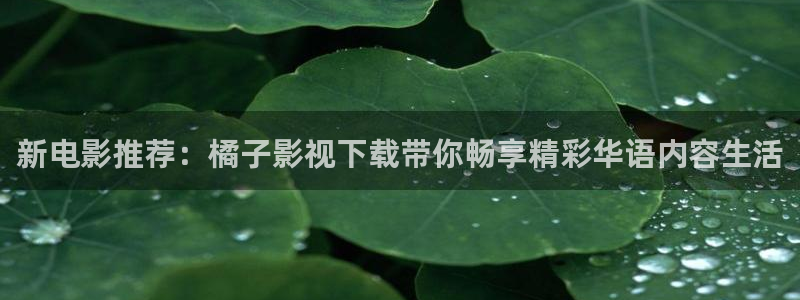麻豆a v电影：新电影推荐：橘子影视下载带你畅享精彩华语内容生活