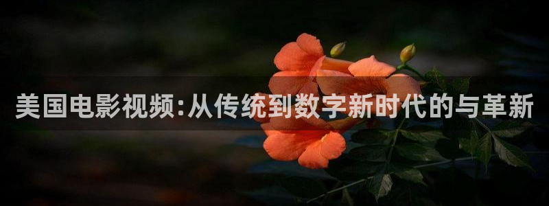 精品入口麻豆88影视：美国电影视频:从传统到数字新时代的与革新