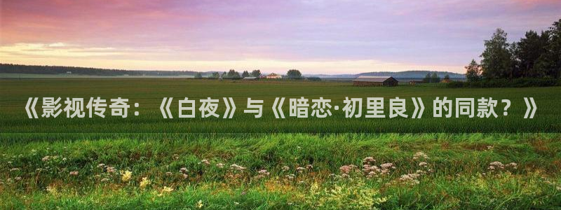 福利电影麻豆：《影视传奇：《白夜》与《暗恋·初里良》的同款？》