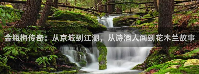麻豆电：金瓶梅传奇：从京城到江湖，从诗酒人间到花木兰故事