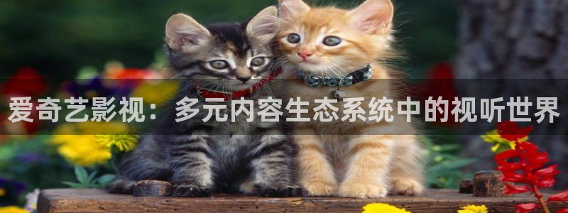 麻豆性电影：爱奇艺影视：多元内容生态系统中的视听世界